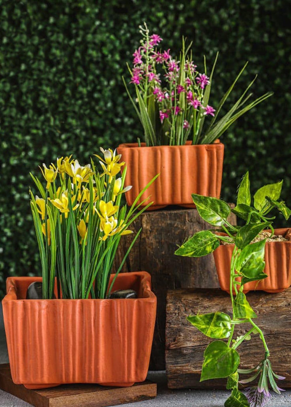 Get Square Terracotta Planter Set Of At Lbb Shop