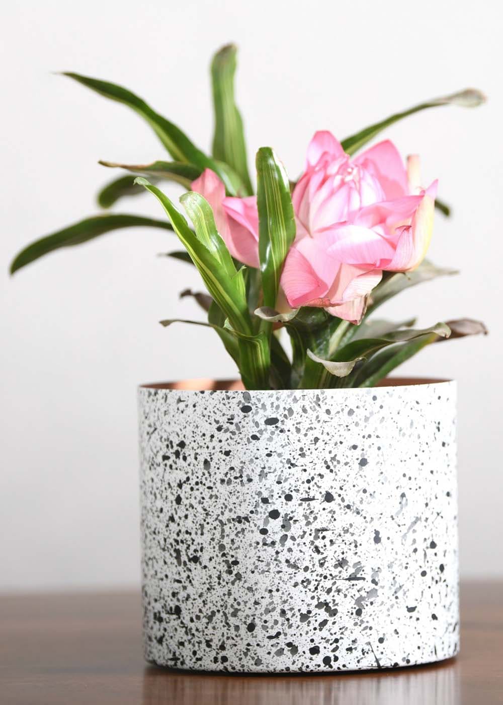 "Splatter" Print Metal Table Top Pot/Planter in Black & White