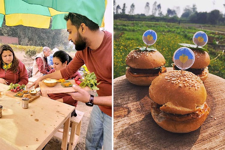 Healthy Sunday Brunch Farm Tour At The Prodigal Cook Farms