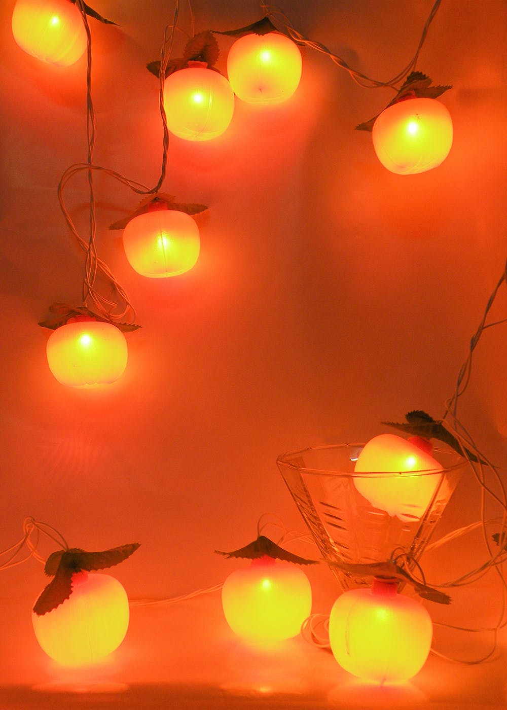 Get Orange String Light (8m) at ₹ 449 LBB Shop