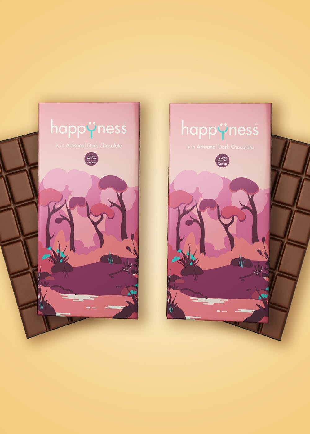 45% Cocoa Artisanal Dark Chocolate Combo - Pack of 2 (100g Each) 