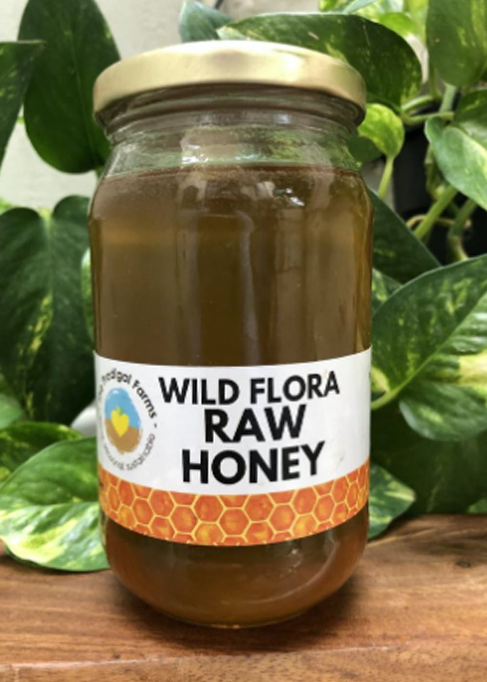 Wild Flora Raw Honey (500g)