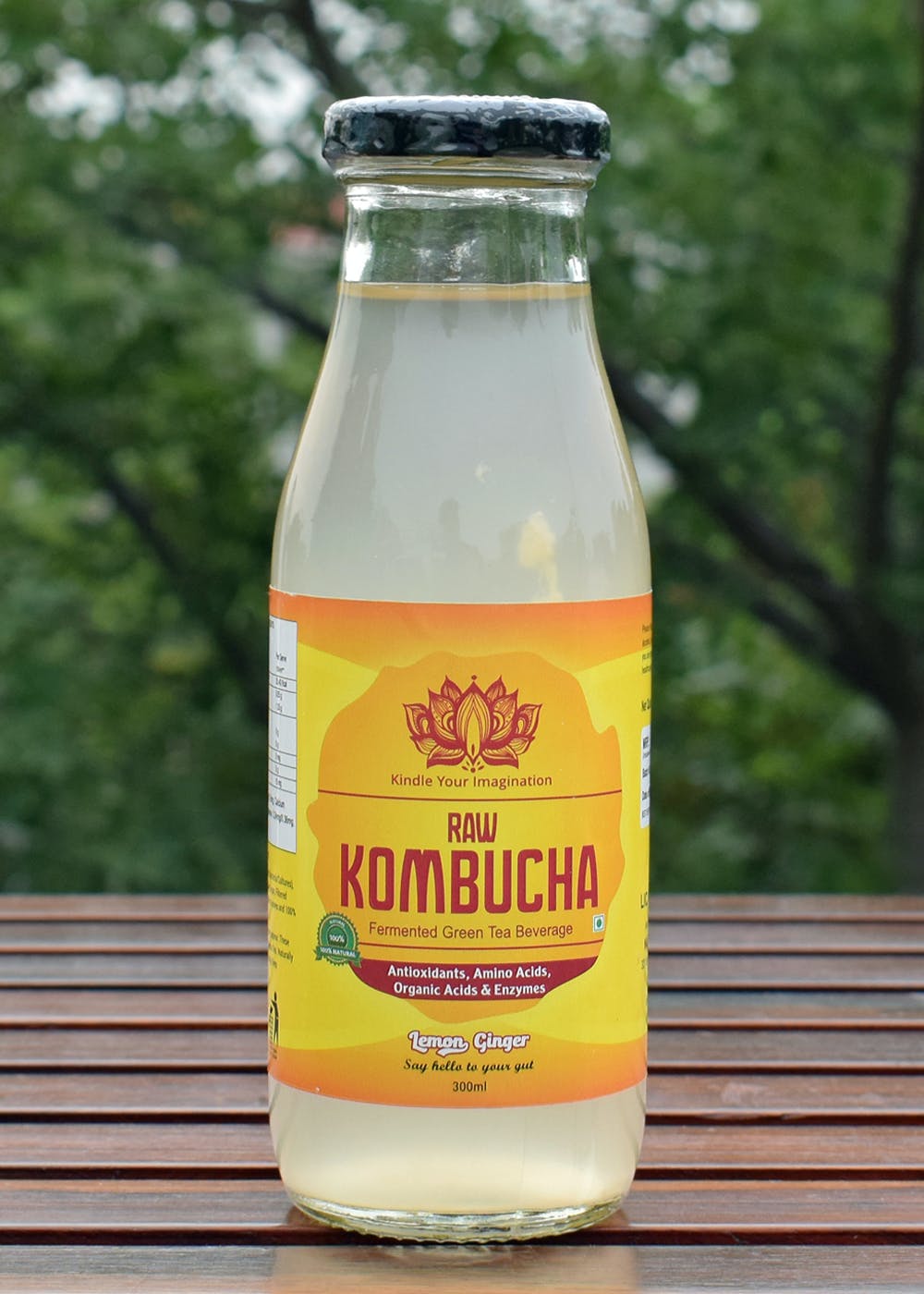 Get Lemon Ginger & Mint Kombucha Pack of 6 (300ml Each) at ₹ 870