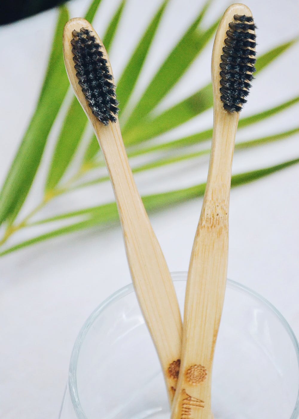 Bamboo Toothbrush - Charcoal (Pack of 2)