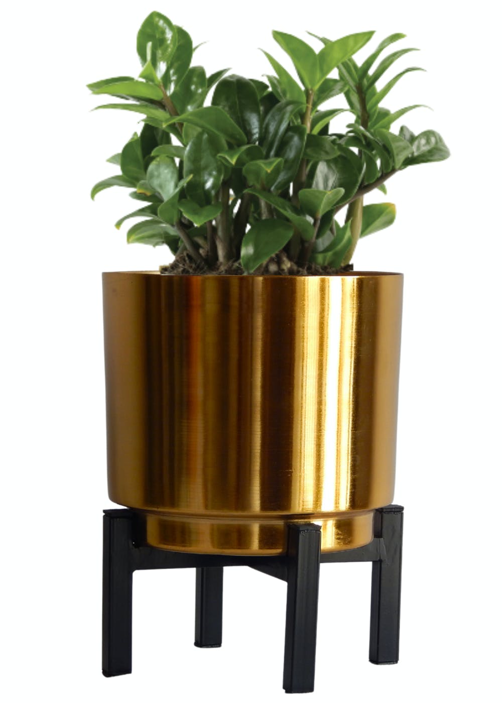 Get Golden Metal Planter With Black Stand at ₹ 612 LBB Shop