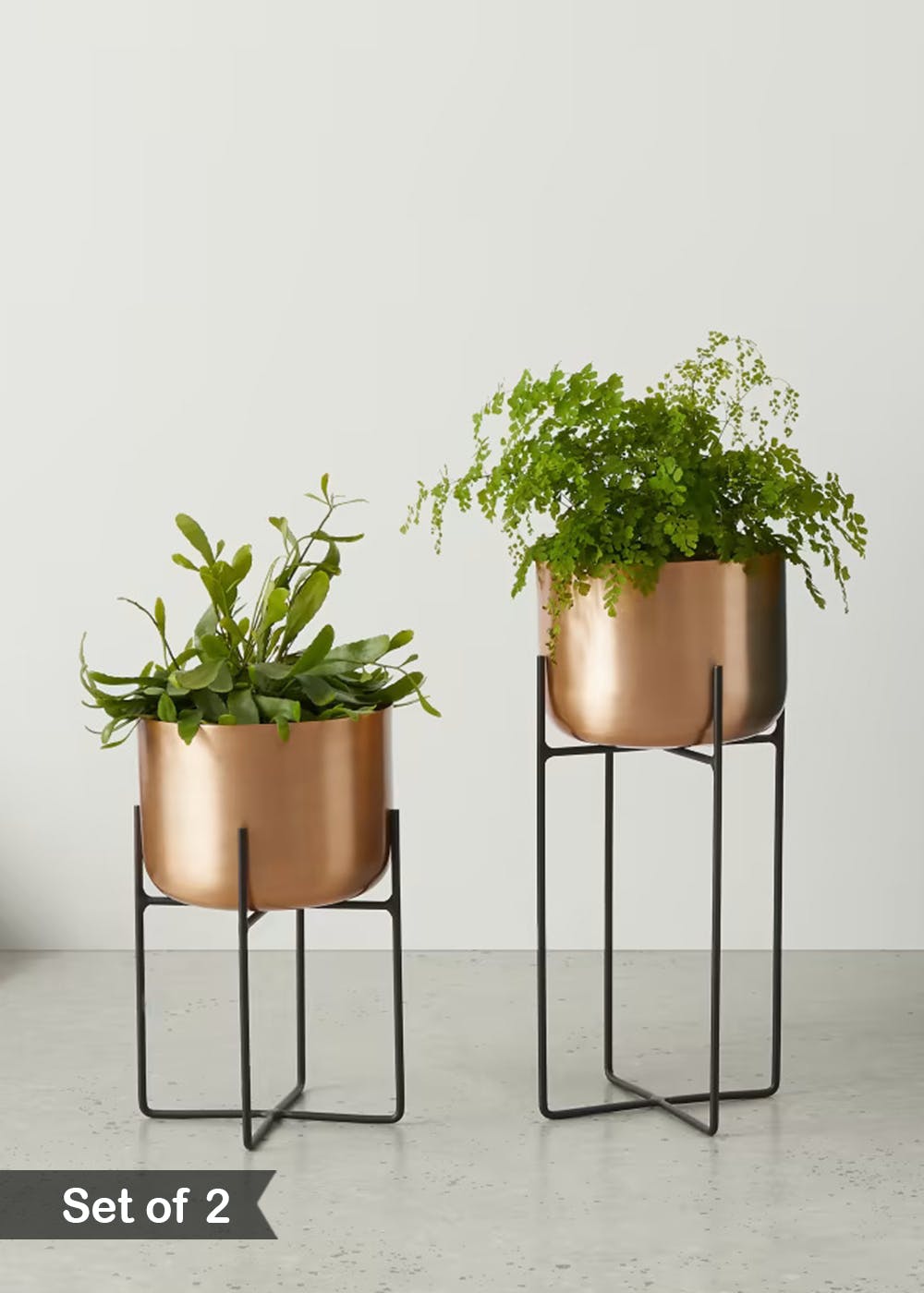 Get Copper Flower Planter Pot with Stand at ₹ 1899 LBB Shop
