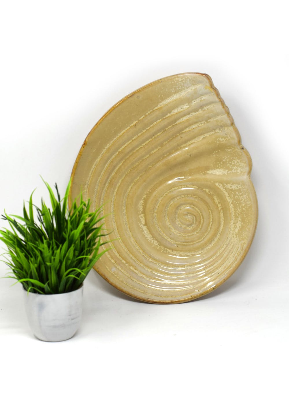 Sandy Brown Shell Platter