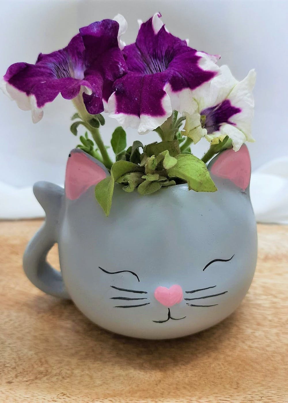 Get Cute Cat Face Planter at ₹ 499 LBB Shop