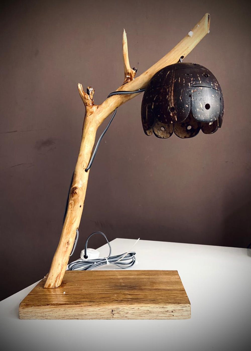 Coconut Shell Table Lamp with LED