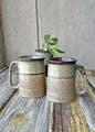 Plant,Drinkware,Tableware,Dishware,Cup,Serveware,Wood,Porcelain,Pottery,Grass