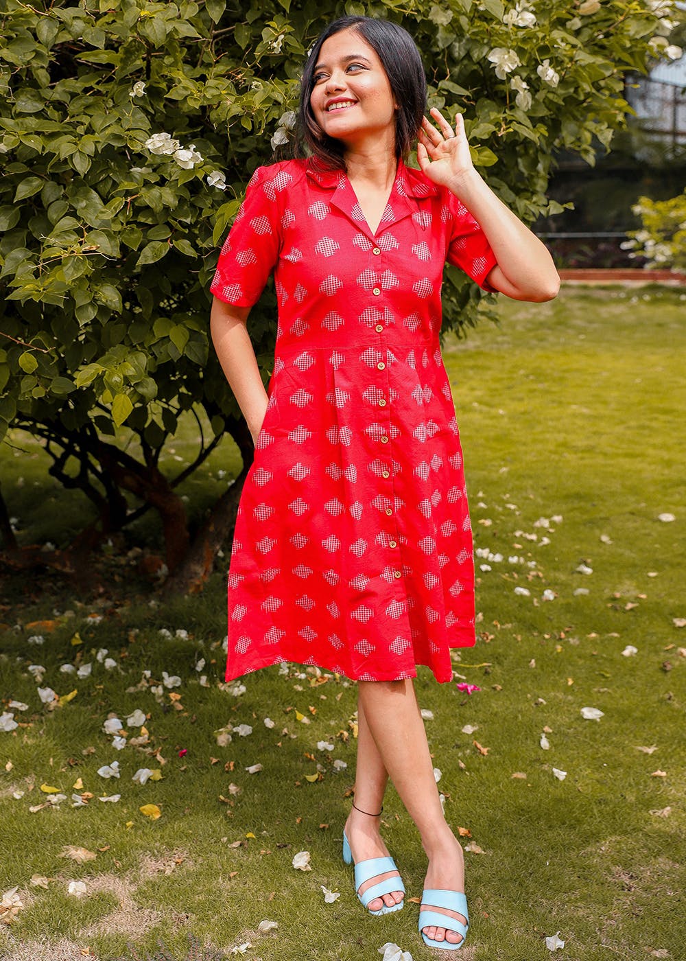 Crimson Red Ikat Printed Collared A-Line Dress