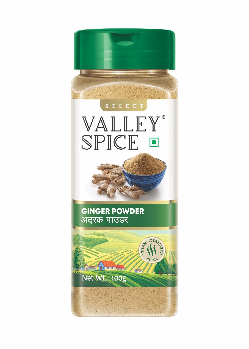 Ginger Powder - 100g (Pack of 2)