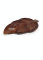 Brown,Tan,Footwear,Liver