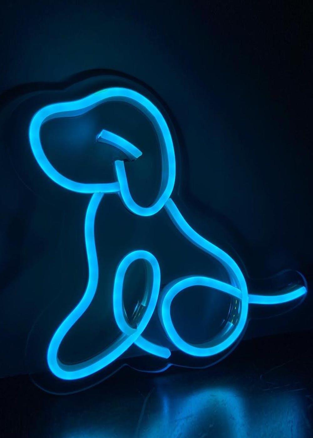 neon light dog