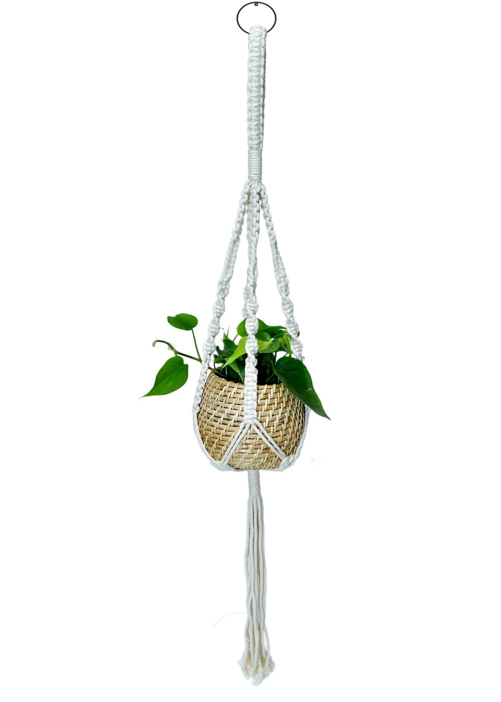 Get Handmade Natural Cane Planter With Macramé at ₹ 1599 LBB Shop