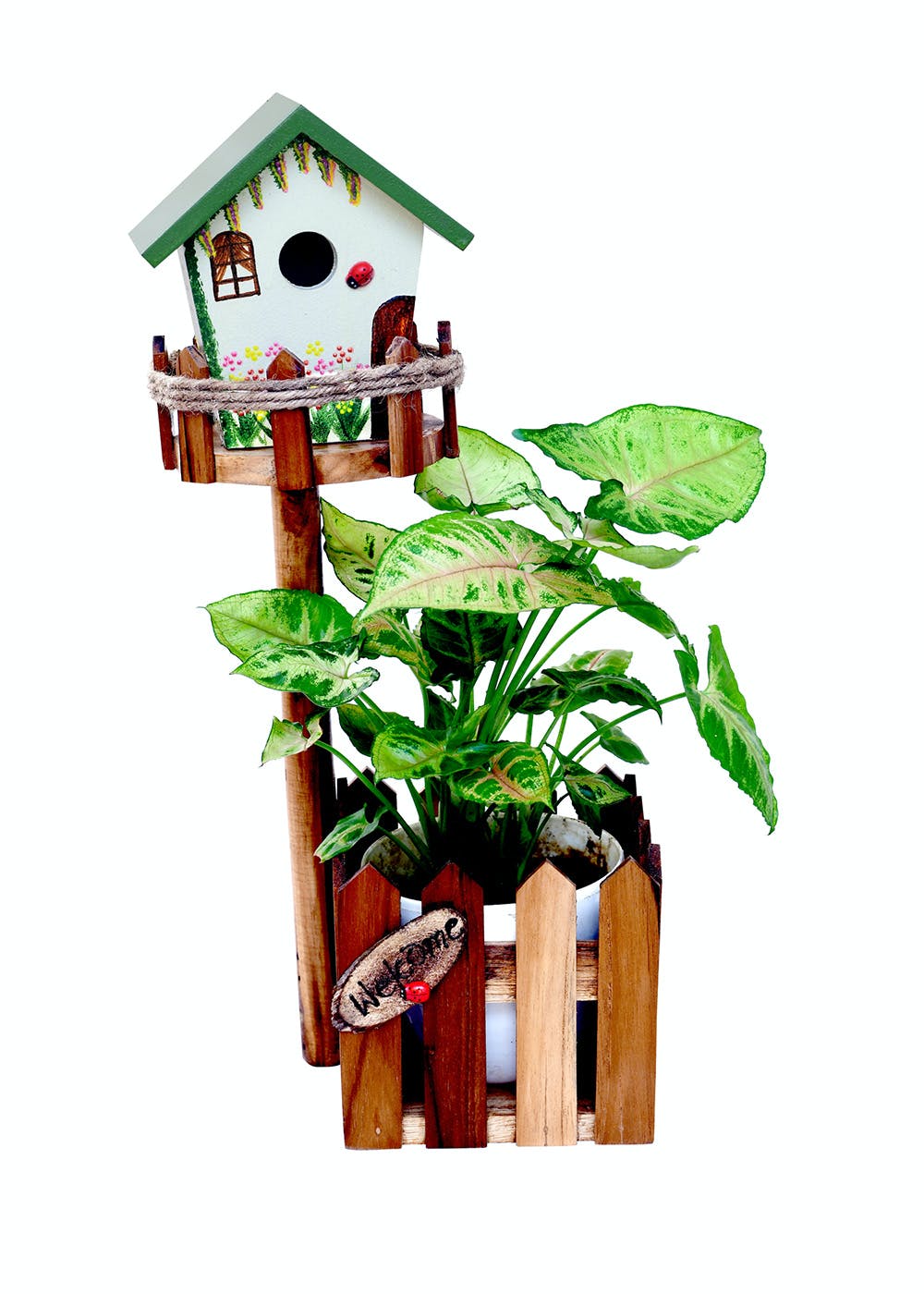 Get Wooden Hand Painted Birdhouse Planter at ₹ 1850 LBB Shop