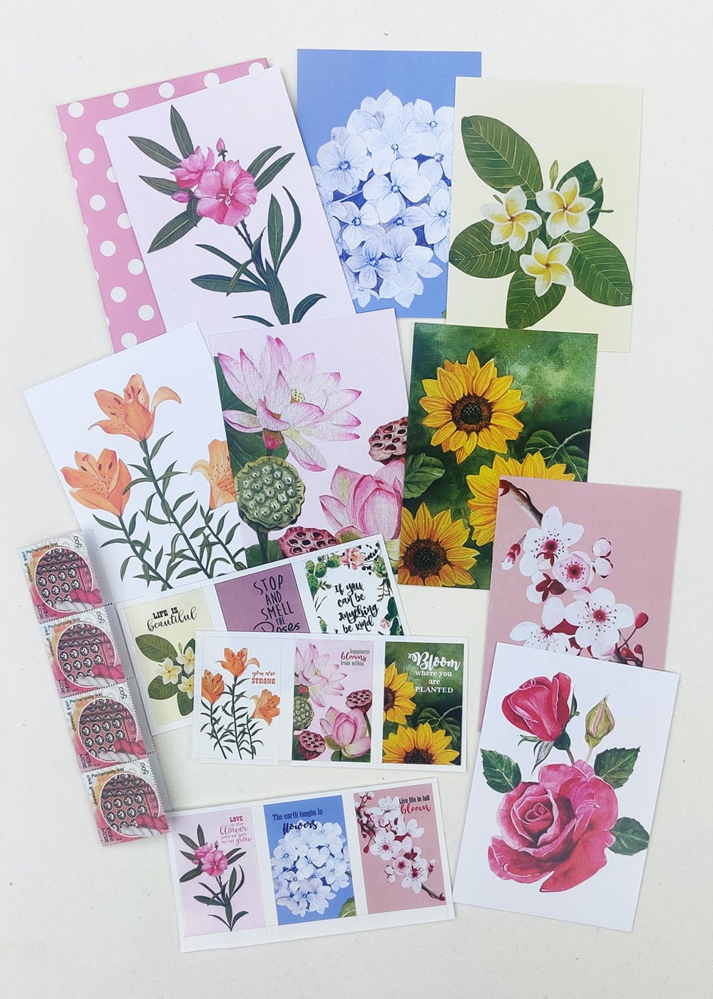 Get Floral Postcards at ₹ 389 | LBB Shop