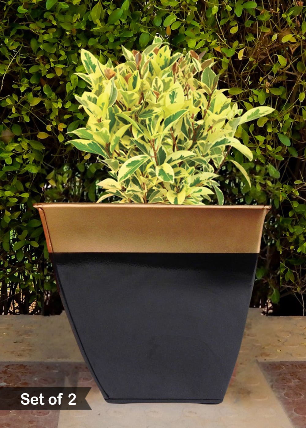 Get Small Black Metal Planter with Gold Trim Set of 2 at ₹ 882 LBB Shop