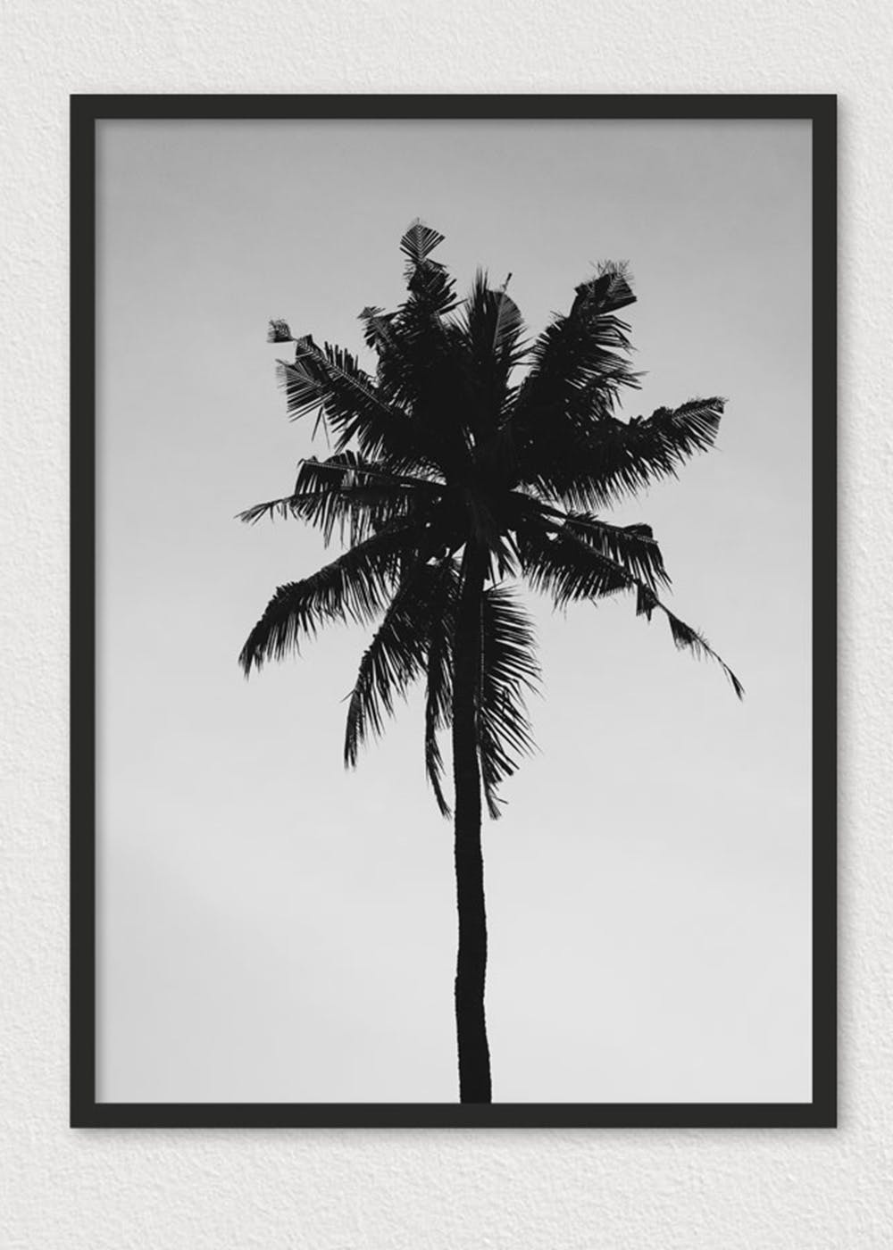 black and white framed palm trees