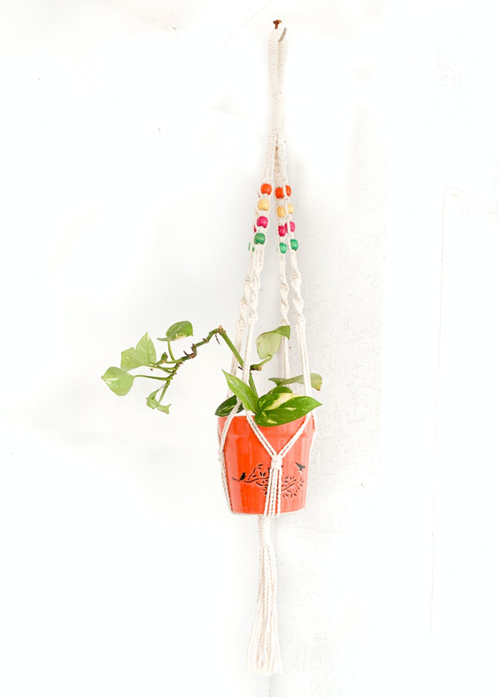 Plant Hangers Set Of 3 (Without Pot) - Natural White