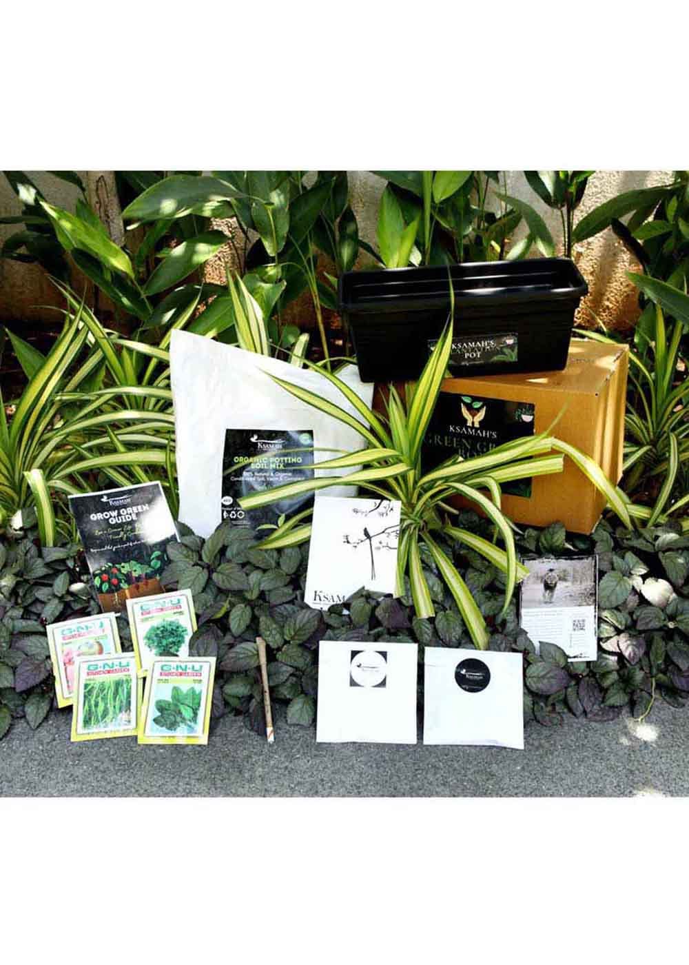 Plant,Rectangle,Font,Terrestrial plant,Grass,Arecales,Packaging and labeling,Shrub,Technology,Box