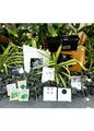 Plant,Rectangle,Font,Terrestrial plant,Grass,Arecales,Packaging and labeling,Shrub,Technology,Box