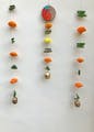Amber,Orange,Plant,Beetle,Insect,Natural foods,Glass,Jewellery,Fashion accessory,Science