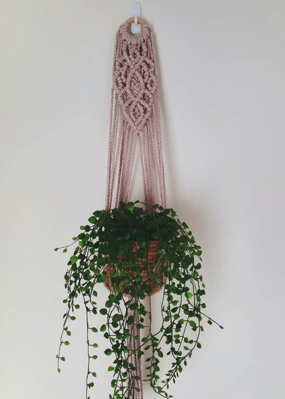 Get Pink Macrame Plant Hanger at ₹ 875 LBB Shop