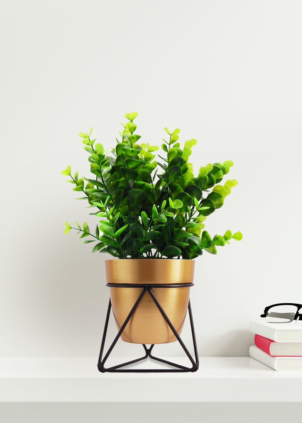 Get Noa Gold Metal Planter Pot with Black Stand at ₹ 403 LBB Shop
