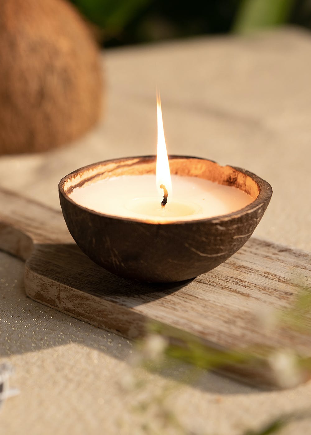 Coconut Shell Eco-Friendly Candle/Diya (Set of 2, Coconut Scented)