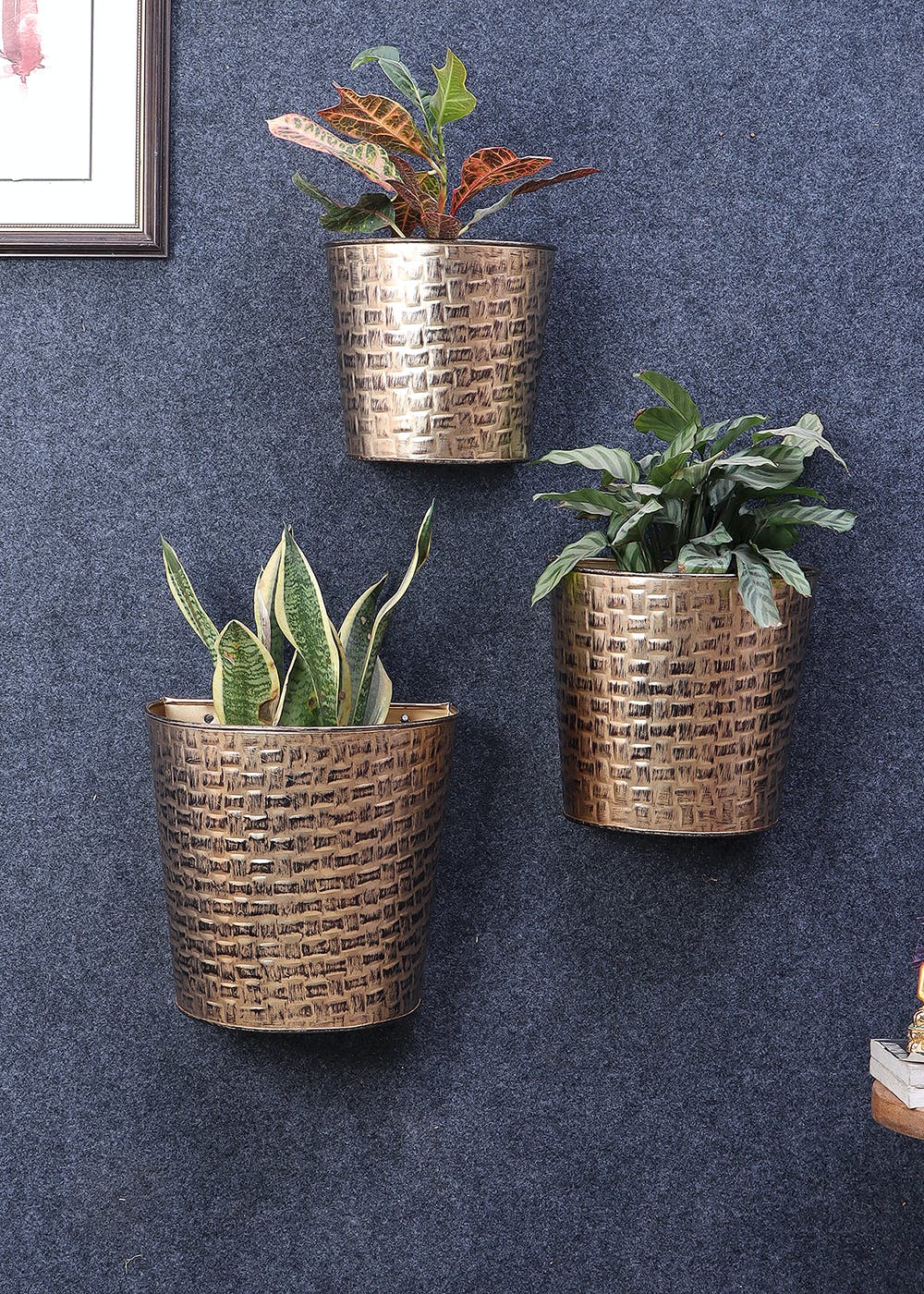 Get Gold & Black Hammered Wall Planter Set Of 3 at ₹ 2499 | LBB Shop