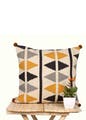 Furniture,Shelf,Chair,Flowerpot,Pillow,Plant,Rectangle,Outdoor furniture,Creative arts,Couch