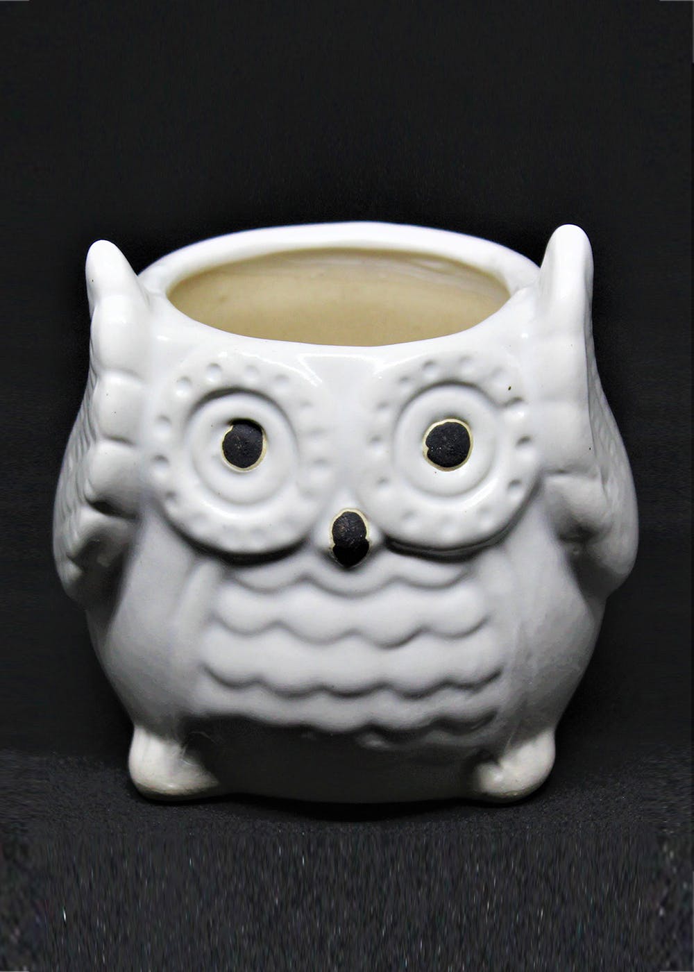 Get Insomaniac White Owl Planter at ₹ 350 | LBB Shop