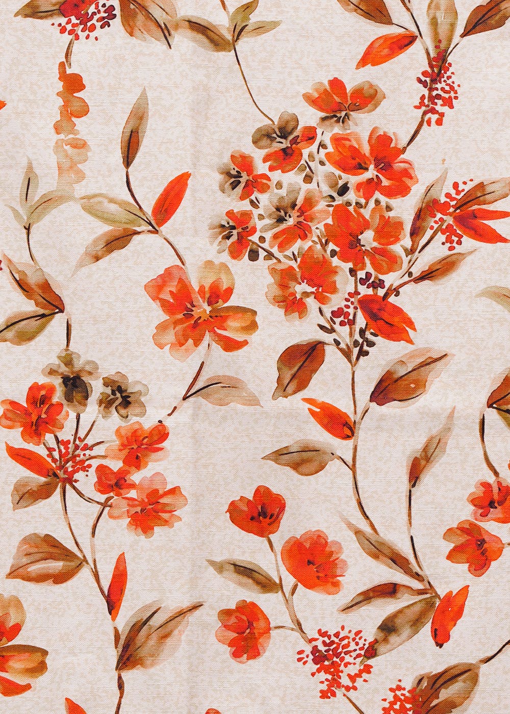 Orange flower Wallpaper 4K Floral Background Colorful 7628