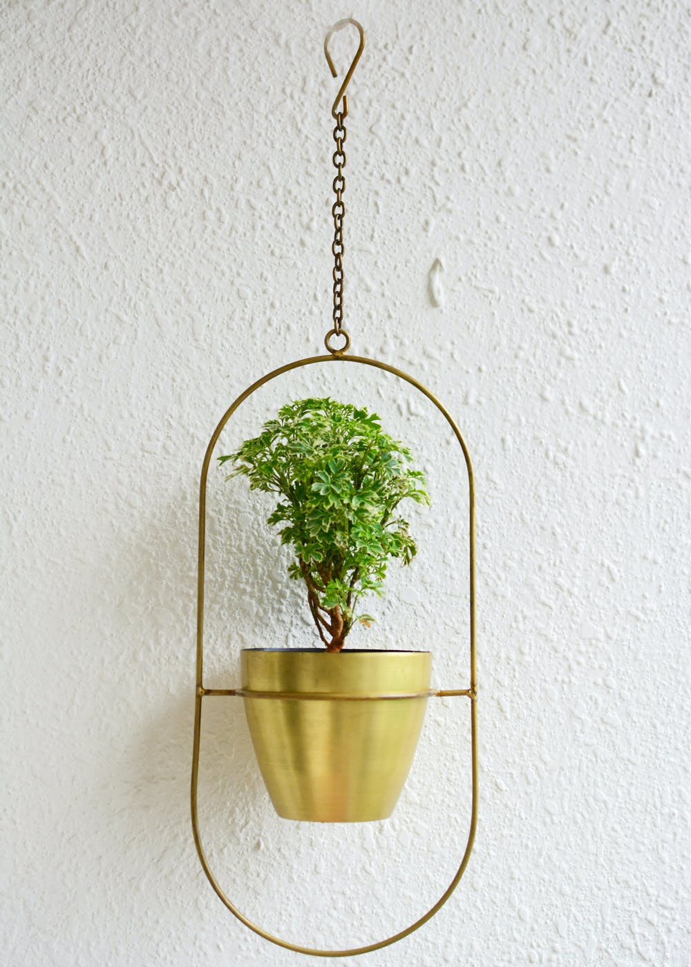 Ellipse Hanging Planter