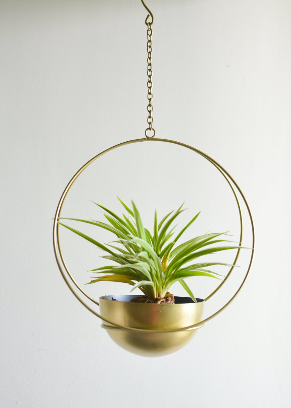 Sirius Hanging Planter