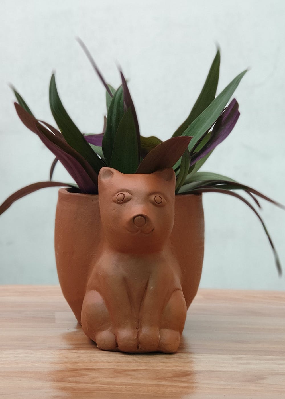 Get Terracotta Animal Planter at ₹ 599 | LBB Shop