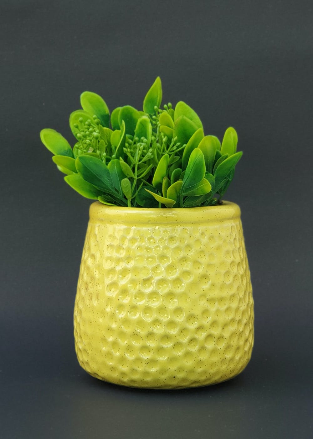 Shop For The Best Local Brands In Indoor Planters Online | LBB