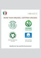 Logo,Product,Text,Font,Brand,Graphics,Plant,Trademark