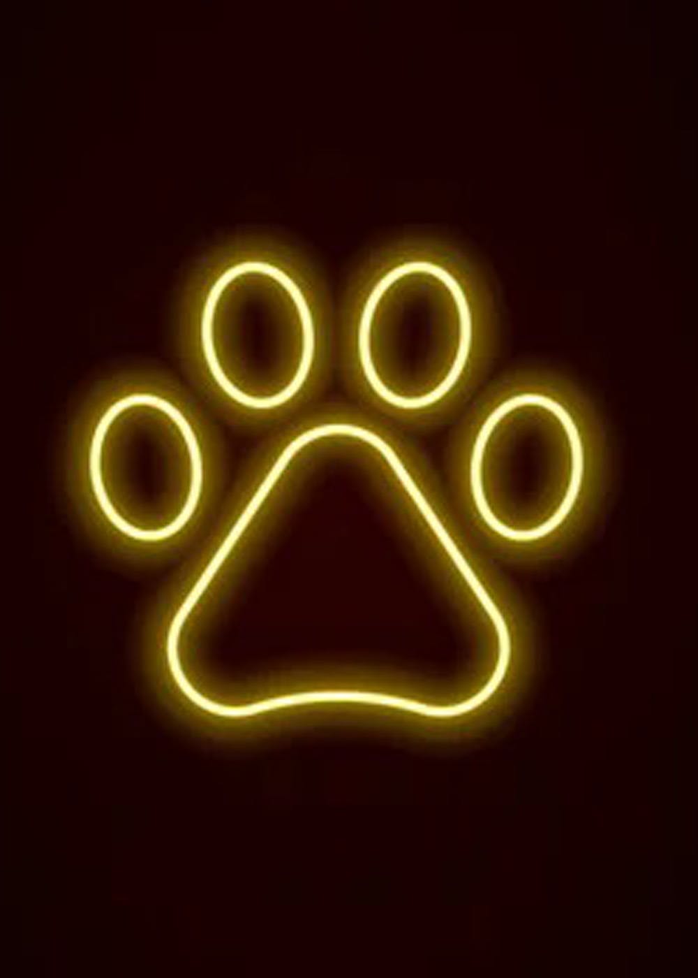 Neon Light - Paw