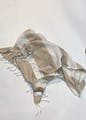 Head,Bat,Jaw,Sleeve,Gesture,Collar,Creative arts,Art,Fashion accessory,Drawing