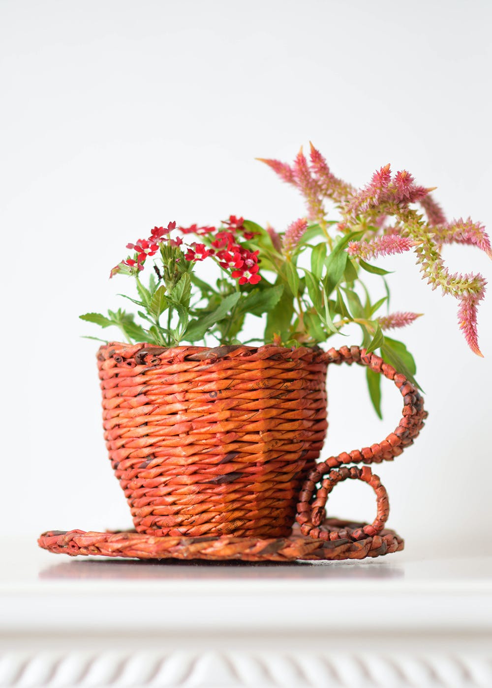 Get Recycled Paper Cup & Saucer Planter at ₹ 650 | LBB Shop