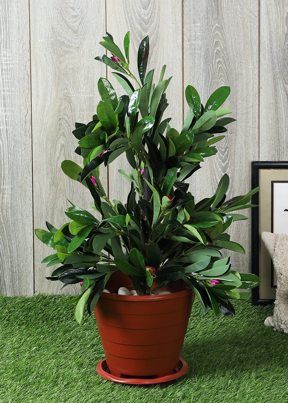 Get Artificial Green Christ Plant At ₹ 1560 