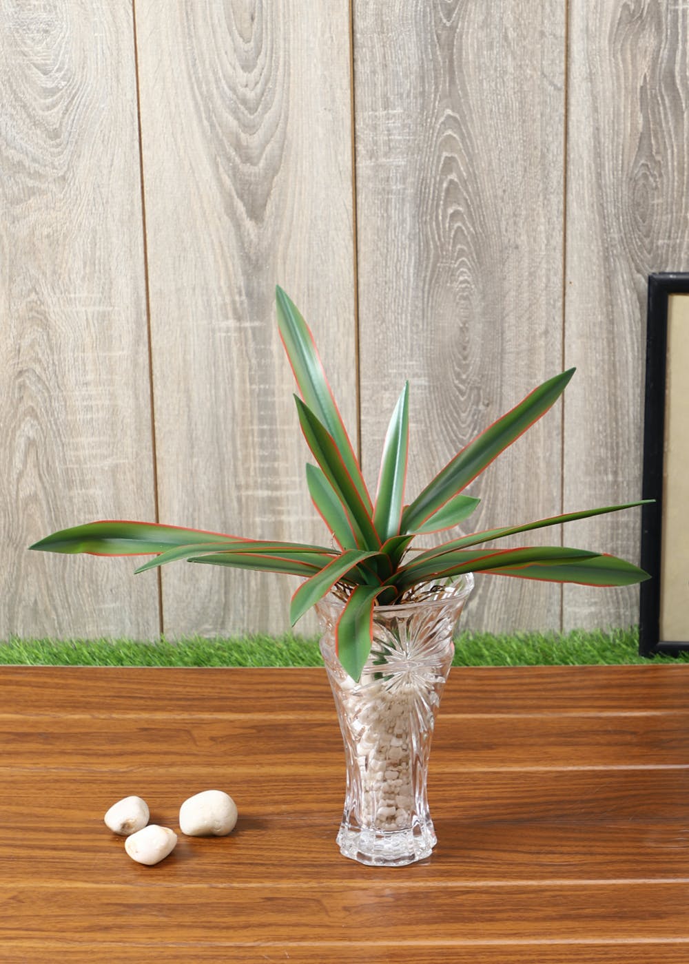 get-alluring-red-boat-lily-plant-at-826-lbb-shop