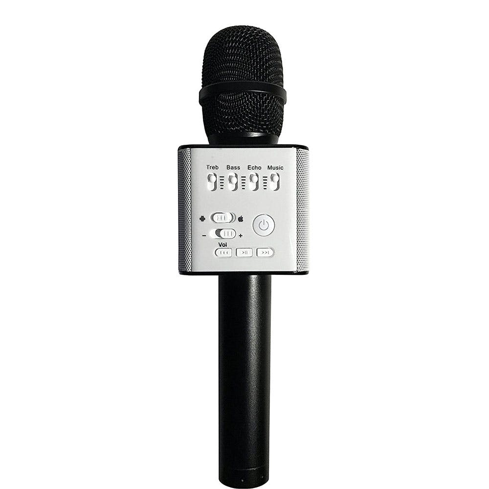 Your Rockstar Friends Will Love Singing Their Heart Out With This Karaoke Mic