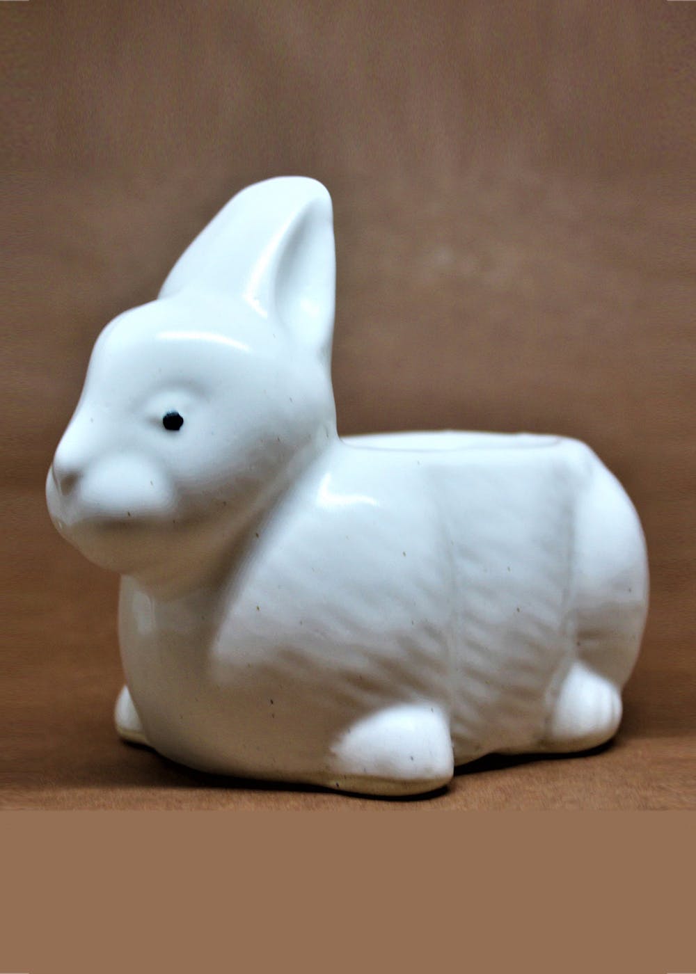 Get Rabit Shaped Planter at ₹ 350 | LBB Shop