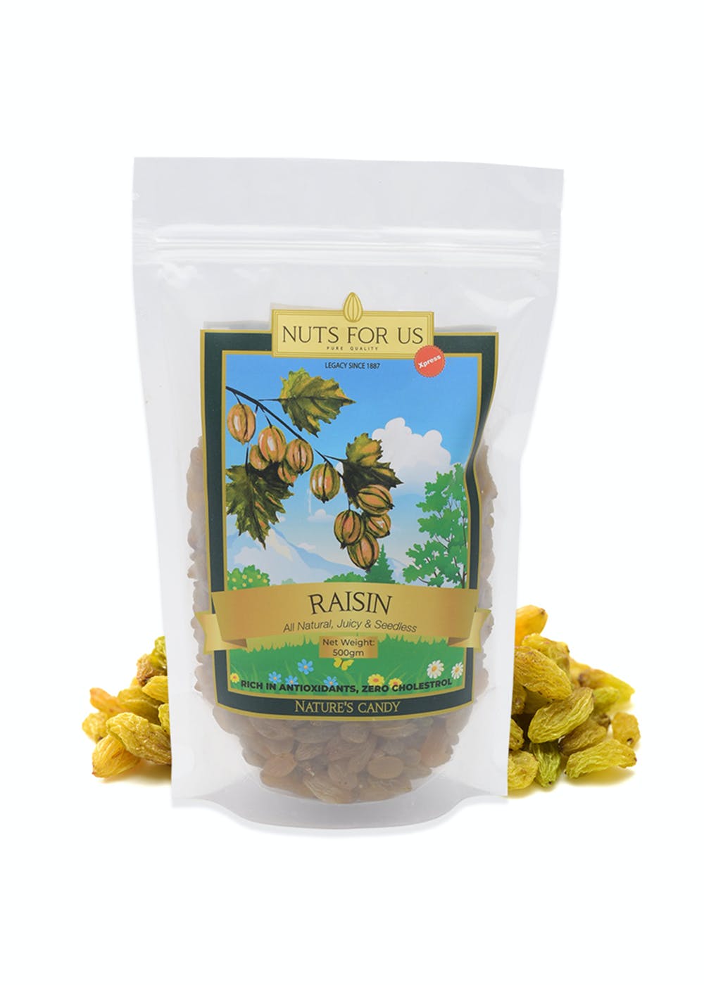 Get Raisins 500 Grams at ₹ 365 LBB Shop