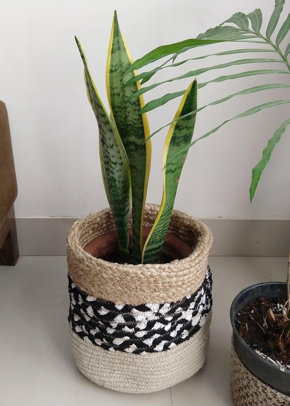 Get Hand Block Printed Cotton Basket/Plant Holder at ₹ 1150 LBB Shop