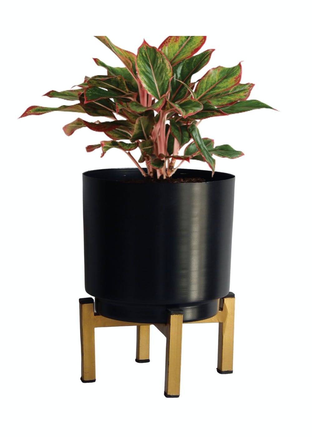 Get Black Metal Planter With Gold Stand at ₹ 549 | LBB Shop