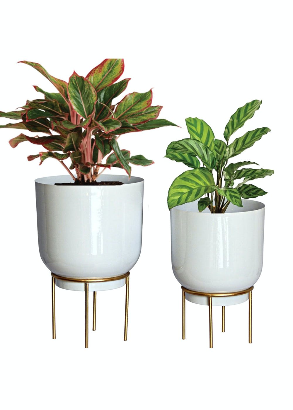 Get White Metal Plant Pot With Gold Stand - Set of 2 at ₹ 1444 | LBB Shop